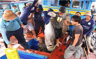 Các tỉnh Duyên hải miền Trung: Nỗ lực chống khai thác thủy sản bất hợp pháp