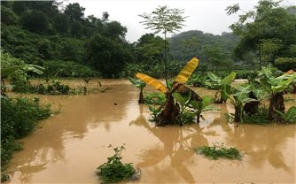 Mưa lớn gây thiệt hại tại Tuyên Quang