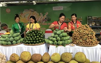 Tuần lễ xoài và nông sản an toàn tỉnh Sơn La tại Hà Nội diễn ra đến hết ngày 3/7