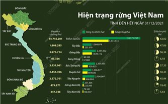 Hiện trạng rừng Việt Nam