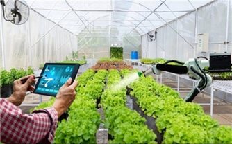 Đẩy mạnh ứng dụng công nghệ thông tin trong dự báo thị trường nông sản