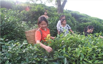 Những điểm sáng trong lĩnh vực giáo dục vùng DTTS: Trường học nông trại ở A Mú Sung (Bài 2)