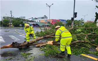 Các tỉnh miền Trung khắc phục hậu quả sau bão Noru