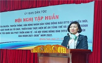 Tập huấn tuyên truyền, truyền thông về Đề án Tổng thể và Chương trình MTQG tại tỉnh Quảng Ngãi