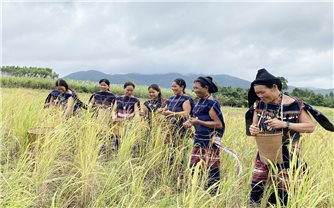 Gia Lai: Phục dựng Lễ Mừng lúa mới của đồng bào dân tộc Ba Na