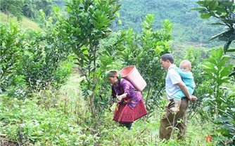 Thanh Hóa: Đẩy lùi tảo hôn, xóa tình trạng hôn nhân cận huyết thống trong vùng đồng bào DTTS