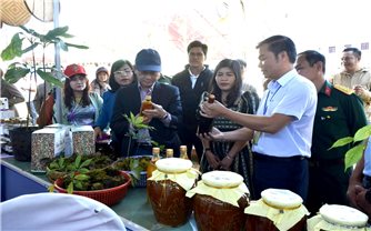 Kon Tum: Tổ chức Phiên chợ Sâm Ngọc Linh gắn với du lịch lần 2