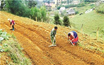 Kỳ vọng tháo gỡ những vướng mắc về chính sách đất đai đối với đồng bào DTTS