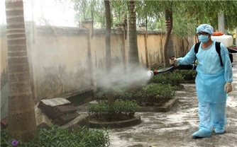 Bộ Y tế yêu cầu địa phương triển khai giám sát chặt chẽ tình hình dịch bệnh sốt xuất huyết