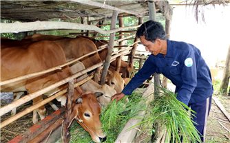 Bình Định: Hoài Ân phấn đấu trong năm 2023, giảm 1,5 - 2% tỷ lệ hộ nghèo