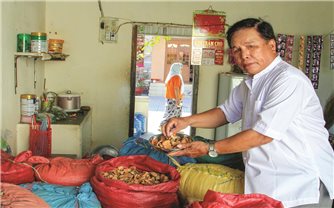 Ninh Thuận: Đồng bào Chăm bảo tồn cây thuốc quý