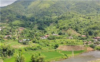 Phát triển lâm nghiệp gắn với giảm nghèo bền vững: Chưa giàu được từ rừng (Bài 1)