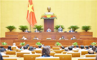 Đại biểu Quốc hội đặc biệt quan tâm đến vấn đề y tế cơ sở