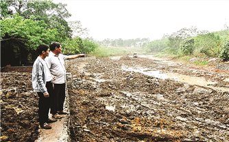 Những “đầu tàu” trong phát triển kinh tế ở Đầm Hà