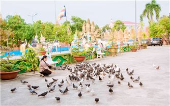Cà Mau: Đồng bào Khmer sẽ đón mùa Lễ Sen Dolta bình an, đủ đầy