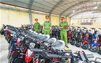 Đắk Lắk: Phát hiện hơn 100 chiếc xe điện không rõ nguồn gốc