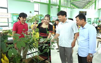 Quảng Nam: Tăng cường công tác quản lý chất lượng Sâm Ngọc Linh