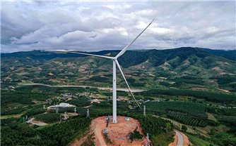 Kon Tum: Chiếm đất làm dự án điện gió, Công ty Cổ phần Tân Tấn Nhật bị phạt hơn 800 triệu đồng