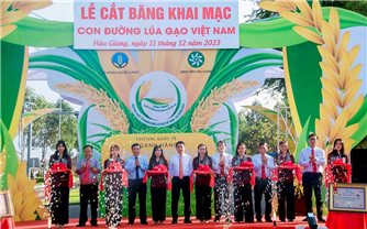 Hậu Giang: Khai mạc Triển lãm con đường lúa gạo Việt Nam
