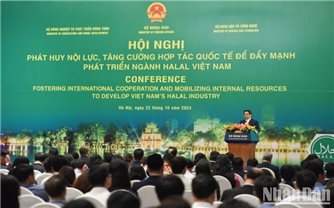 Phát huy nội lực, tăng cường hợp tác quốc tế, phát triển ngành Halal Việt Nam