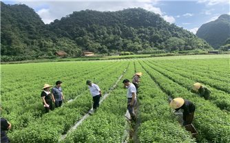 Tăng cường giám sát thực hiện Chương trình MTQG 1719 ở Cao Bằng: Đi cùng thực hiện (Bài 2)