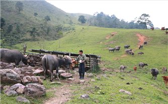 Nghệ An: Thực hiện Chương trình MTQG 1719, tỷ lệ hộ nghèo ở huyện miền núi Quế Phong giảm nhanh