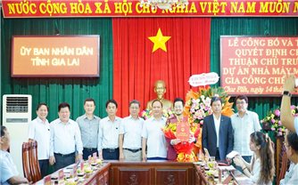 Gia Lai chấp thuận chủ trương đầu tư dự án Nhà máy may và gia công chế biến gỗ hơn 35,6 tỷ đồng