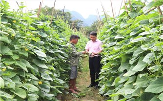 Đòn bẩy để người dân Sơn Dương thoát nghèo