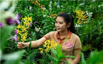 Thạch Thị Kim Hoa - cô gái Khmer tạo vẻ đẹp quyến rũ cho hoa Lan