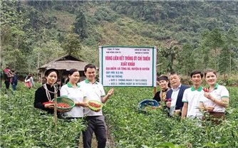 Tiềm năng phát triển chuỗi liên kết trồng ớt xuất khẩu ở Hà Giang