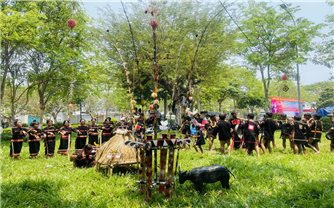 Gia Lai: Sôi nổi Ngày hội văn hóa, thể thao các DTTS huyện Krông Pa