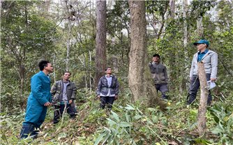 Thấy gì từ lực lượng giữ rừng ở Kon Tum: 