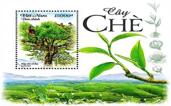 Cây chè và văn hóa trà của người Việt lên tem bưu chính