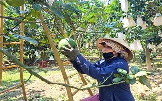 Nhìn lại Chương trình xây dựng nông thôn mới ở Quảng Nam: Tháo gỡ khó khăn, tập trung nguồn lực (Bài 3)
