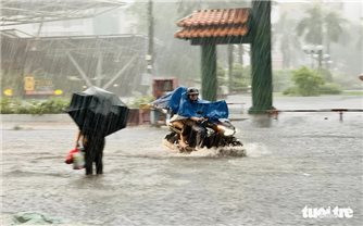 Xuất hiện mưa đá hiếm gặp tại TP. Hồ Chí Minh