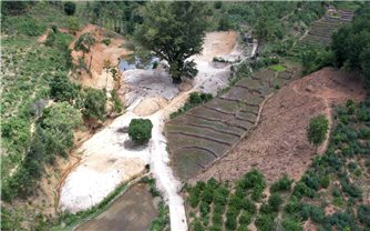 Kon Tum: Huyện Đăk Hà chỉ đạo xử lý vụ việc ngang nhiên san lấp đất ruộng?