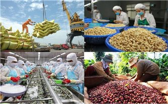 Việt Nam xuất siêu 11,63 tỷ USD trong 6 tháng đầu năm 2024