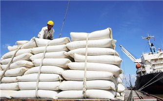 Giá gạo Việt Nam quay đầu giảm về thấp nhất trong số 6 nước xuất khẩu gạo hàng đầu thế giới