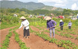 Chính sách dân tộc làm thay đổi đời sống đồng bào DTTS ở Mường Nhé