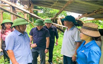 Ngành Công tác Dân tộc địa phương cần phối hợp với các đơn vị liên quan để có thông tin chính xác thiệt hại ở vùng DTTS do thiên tai