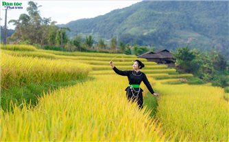 Chiêm ngưỡng vẻ đẹp như tranh vẽ của ruộng bậc thang Hoàng Su Phì