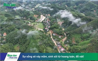 Sự sống sẽ nảy mầm, sinh sôi từ hoang tàn, đổ nát!