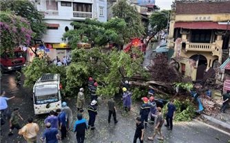 Chuẩn bị nhân lực, phương tiện sẵn sàng ứng phó bão và mưa lũ sau bão