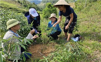 Sinh kế của người dân Tương Dương được đảm bảo tốt hơn