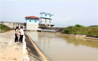 Xuân về trên những làng Chăm