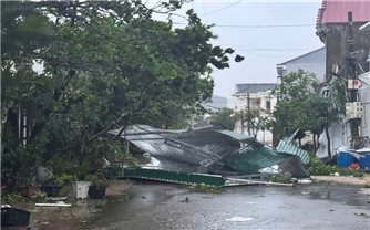 51 người chết và mất tích, thiệt hại kinh tế trên 8.000 tỉ đồng do bão số 10