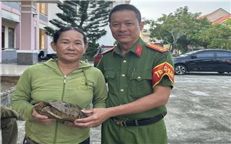 Người dân bàn giao cá thể rùa núi vàng quý hiếm cho Kiểm lâm thả về tự nhiên