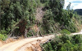 Quảng Ngãi: Người dân sợ hãi với cảnh gỗ nằm chênh vênh trên sườn núi ở tuyến tỉnh lộ 676