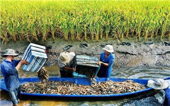 Nông nghiệp phía Nam tăng tốc chuyển đổi xanh, hướng tới phát triển bền vững