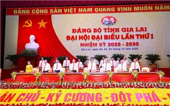Đại biểu dự Đại hội Đảng bộ tỉnh Gia Lai quyên góp 180 triệu đồng ủng hộ đồng bào vùng lũ